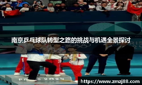 南京乒乓球队转型之路的挑战与机遇全景探讨