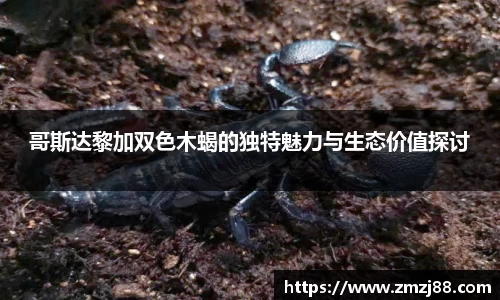 必一运动官方网站